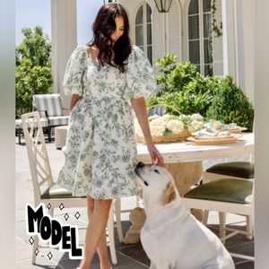 Rachel Parcell Green Toile Puff Sleeve Cotton Dress. Size 12. Great dress!